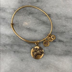 Alex and ani Aries bangle